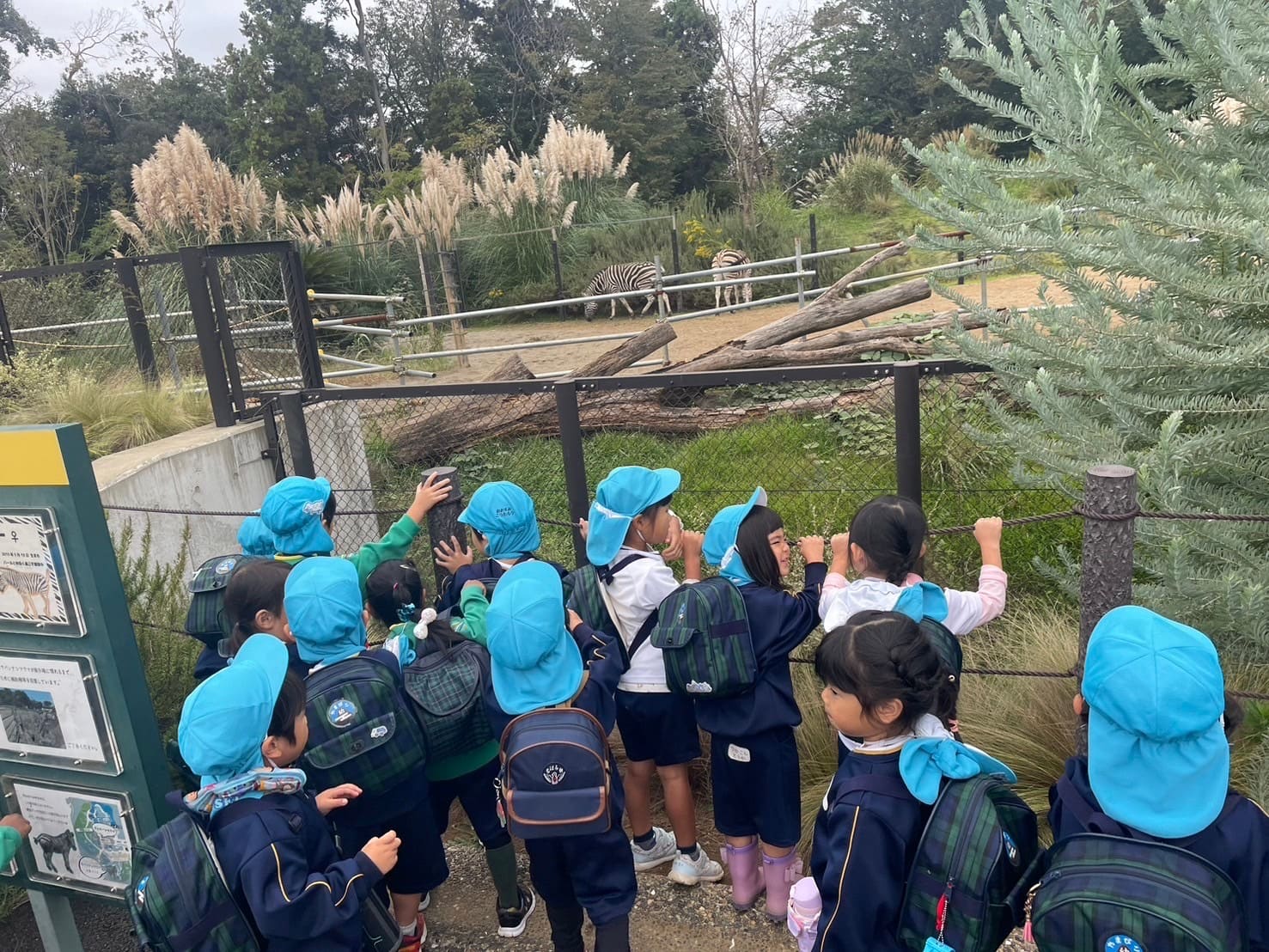 動物公園へ全園児遠足