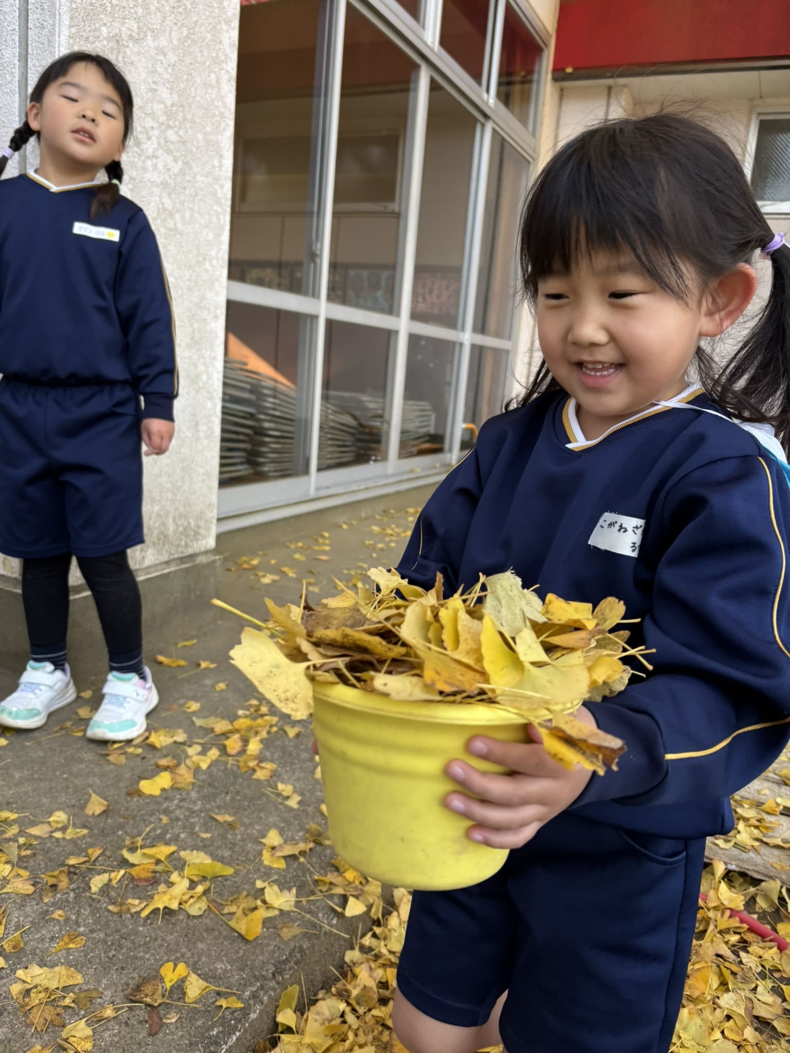 いちょうの葉っぱ